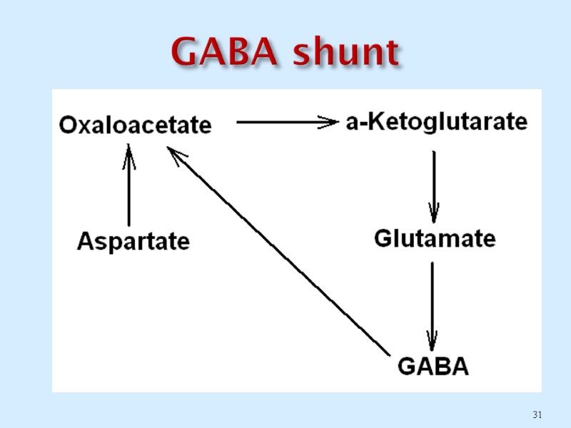 GABA shunt  31